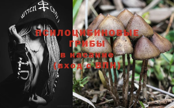 прущая мука Бородино