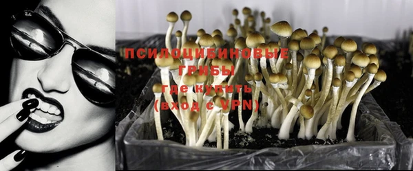соль курить ск Бронницы